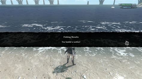 where to catch sardines nier.